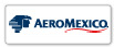 Airline Logo