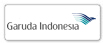 Airline Logo