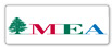 Airline Logo