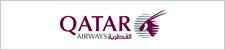 Airline Logo